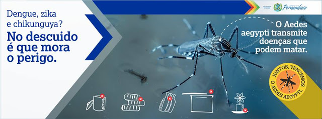 DENGUE, ZICA E CHICUNGUNYA EM DISCUSSÃO