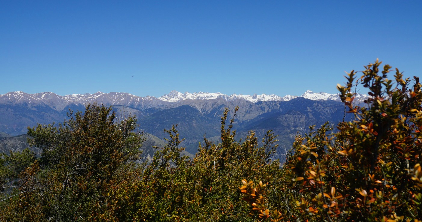 Mercantour peaks seen from the trail to Cime des Collettes