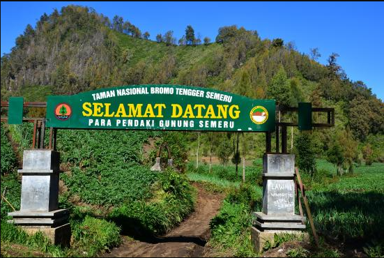 Kisah Horor Pengalaman Naik Gunung Semeru