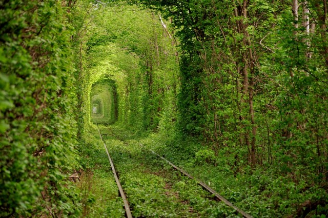 tunnels created by nature