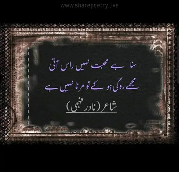 Pakistan Poet rana Nadir Fahmi Poetry