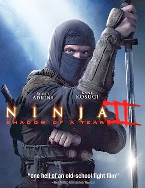 ninja shadow of a tear t68327 jpg 290x478 upscale q90 Download – Ninja: Shadow of a Tear – BRRip AVI e RMVB Legendado (2013)