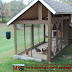 This Chicken coop designs for 3 chickens

