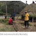 Warga Adat Papua Keluhkan Aktivitas Investasi Perkebunan - CNN Indonesia