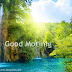 Top HD Latest Green Good Morning Love HD Pictuers