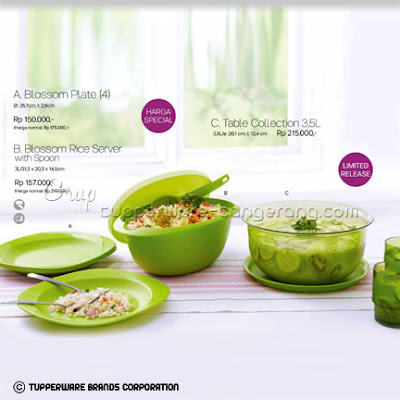 Blossom Plate, Rice Server, Table Collection ~ Katalog Tupperware Promo Mei 2016