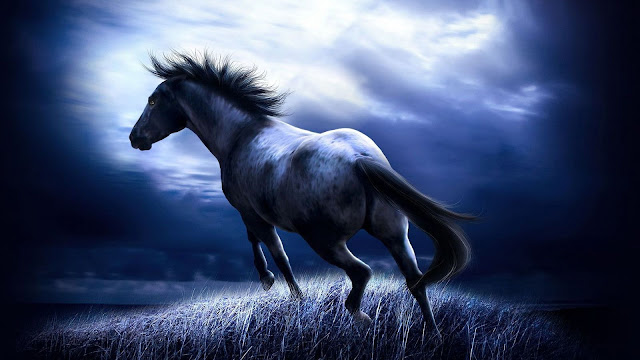 Beautiful Horse Ultra HD PC Wallpapers Free Download Latest Version 2020