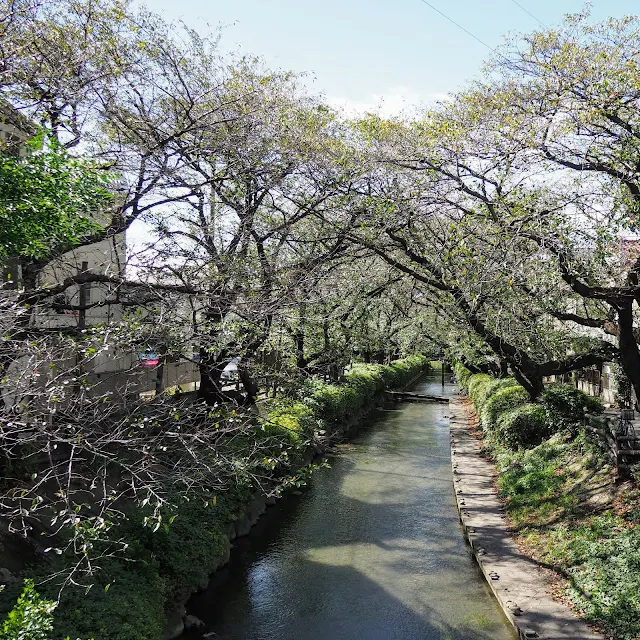 二ヶ領用水