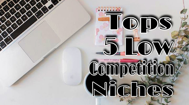 Top 5 Low Competition Niches Blogging For New Bloggers - Humseka