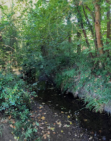 The Kyd Brook.  Walk round the Hawkwood Estate 05, 30 August 2016. 