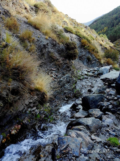 Barranco de Casas Nuevas, Jérez del Marquesado