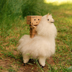 Foto Danbo @ digaleri.com