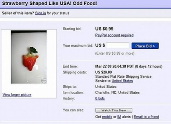 Funny And Strange eBay Auctions