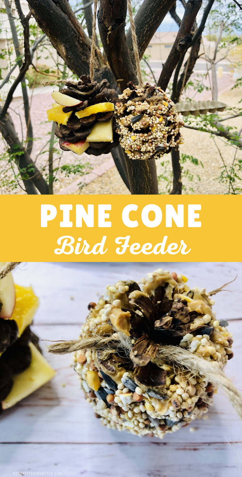 Pine cone bird feeder diy