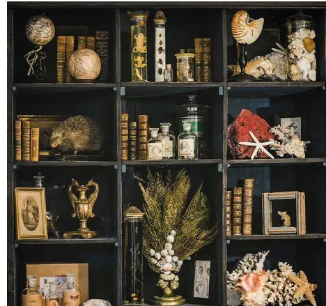 Cabinet de Curiosite