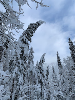 Eisklettern