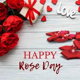 Image of Rose Day Quotes for wife