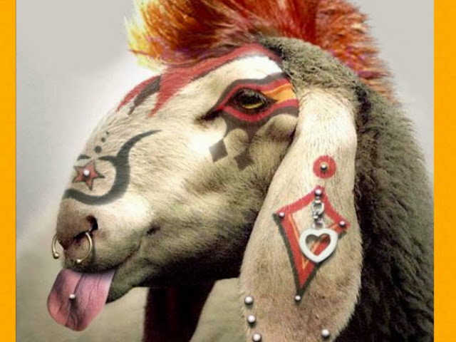 Punk Goat Wallpaper