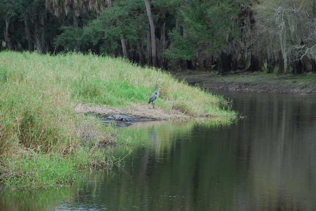 Miakka River State Park