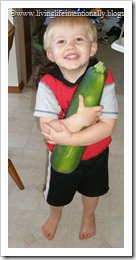 July  2008 278
