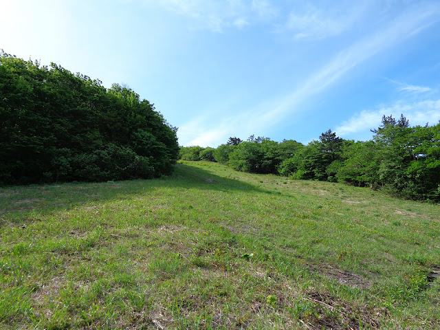 大山国際スキー場に登ります