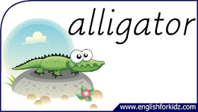 alligator flashcard