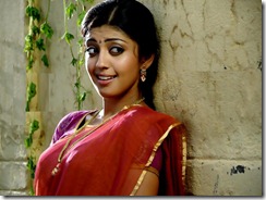 pranitha-gorgeous-in-saree-pics