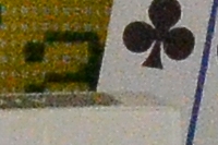 Nikon D7000 Sample Image