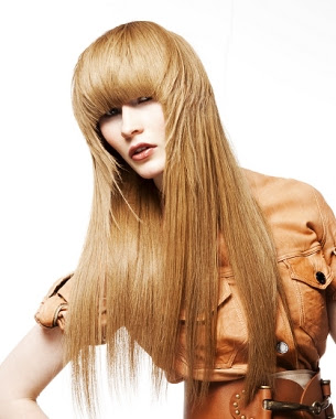 Long Layered Hairstyles for 2012 Long Hair 2012