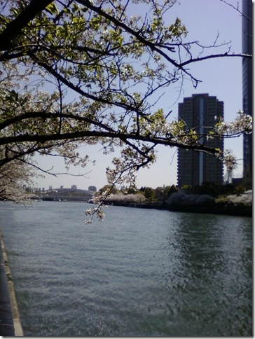 Photo-0018 (3)