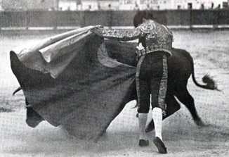 Belmonte Veronica 001