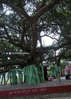 वन देवी दुर्गा मंदिर, सुगौना (बसौली)