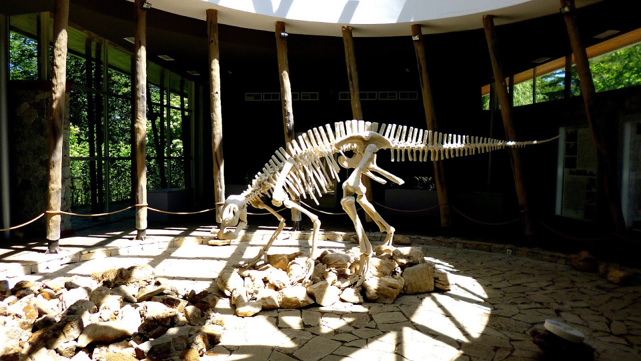 Paleontology in Georgia (U.S. state) Museum