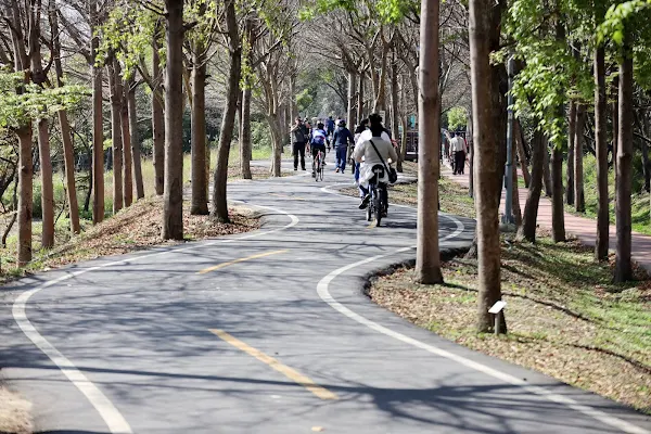 ▲潭雅神綠園道S彎道。（台中市政府提供）