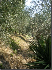 P8190037