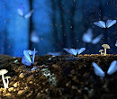 Nature - Blue, butterflies, art : id 12837