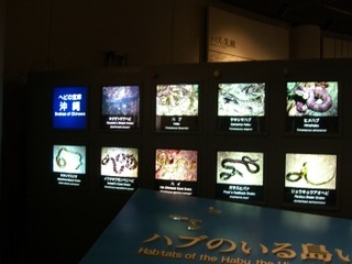 CIMG0280