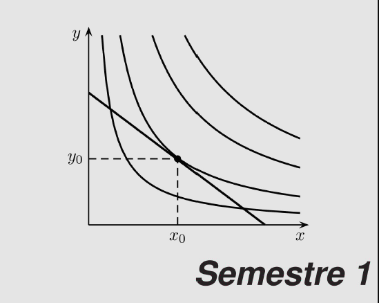 examen corrigé analyse mathématique s1 Economie  pdf