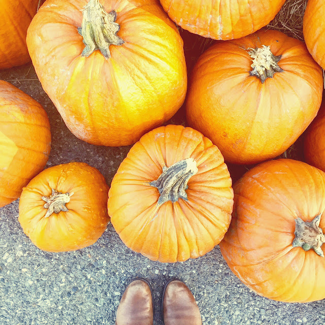 Pumpkin Patch