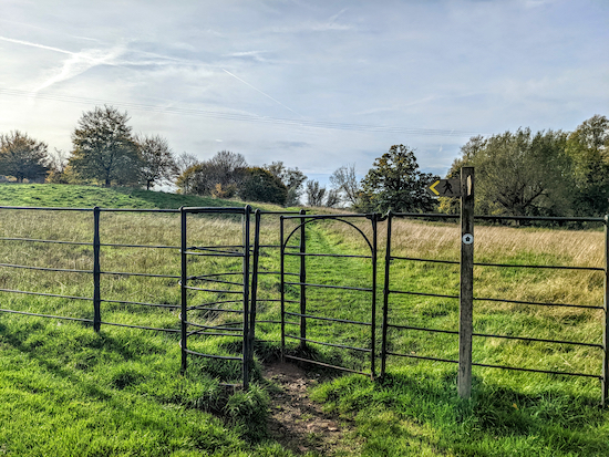 Go through the gate and continue on Watton-at-Stone footpath 12A