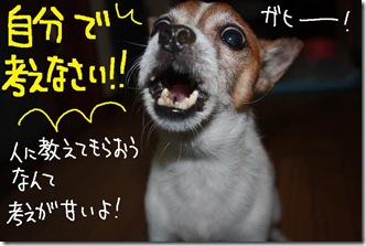 今日カズ１００９１５　５