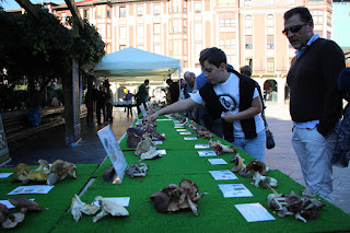 Exposición de la Sociedad Micológica de Barakaldo