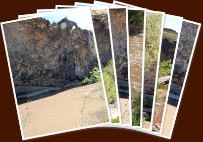View album