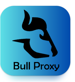 BULL VPN