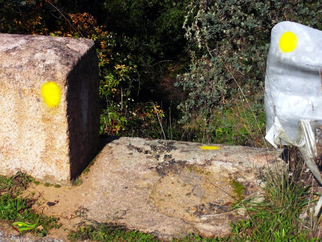 Ruta de Los Puentes (Sierra Morena Cordobesa)