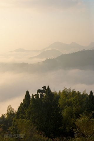 zz_MG_1091