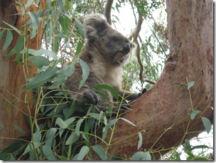 Toni's pics 076