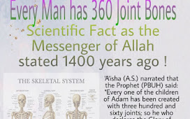 Every Man has 360 Joint Bones