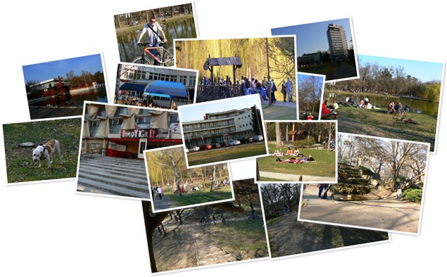 Nagyerdő 2012 márc megtekintése