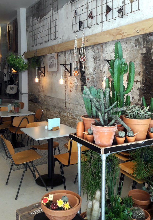 Hotspot in Delft: Pleck | Happy in Red